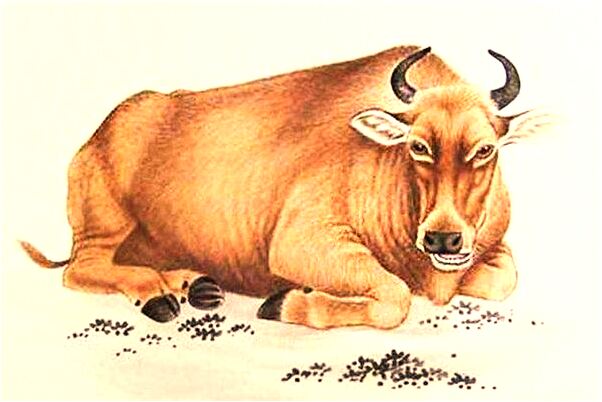 夢見父親說我吃虧了是凶兆還是吉兆_周公解夢官網