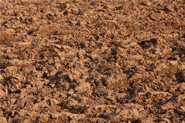 夢見黃泥有什麼意思嗎_周公解夢