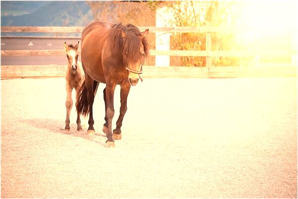夢到了女人送長頭髮預示著什麼_周公解夢官網