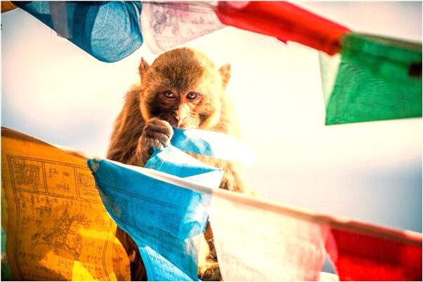 夢到了晚上幫搬東西是好是壞_周公解夢官網