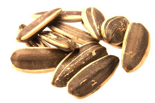 夢到了頭髮張長有什麼含義_周公解夢官網