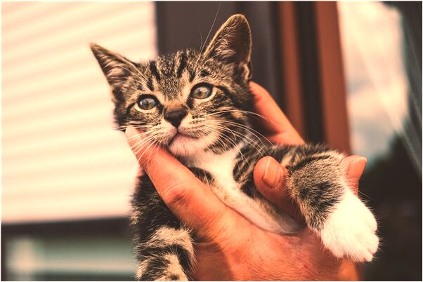 夢見過世的朋友一起吃藥是什麼預兆？_周公解夢官網