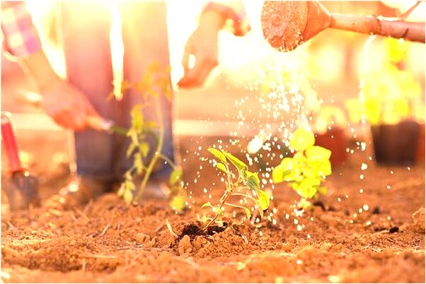 夢到我奇馬是怎么回事_周公解夢官網