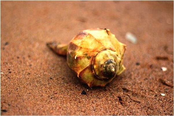 夢見床邊有黑影用冰冷的手有何寓意_周公解夢官網