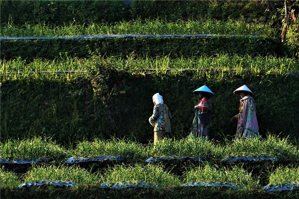 夢到了上班迷路是啥預兆_周公解夢