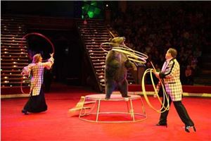 Dream of the circus _ duke of zhou interprets dream what is the meaning of the circus dream to dream the circus is good _ _ duke of zhou interprets website