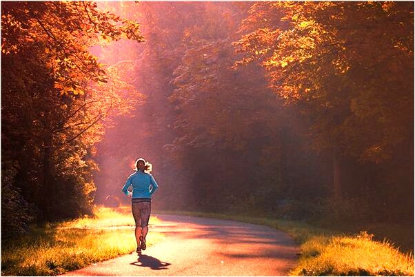 夢到了送鼠精靈回家會有什麼預兆_周公解夢官網