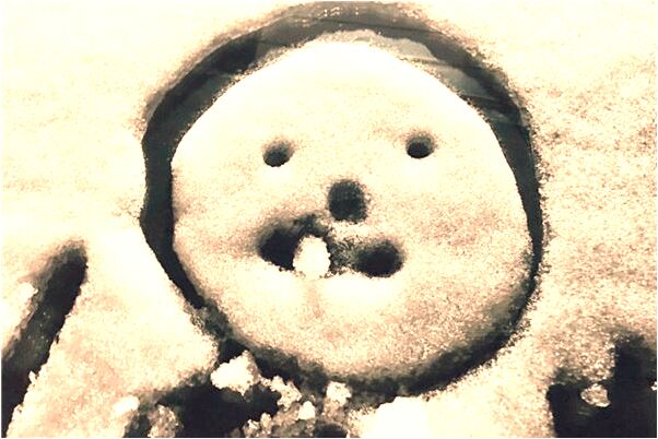 夢見夢梯子什麼寓意_周公解夢官網