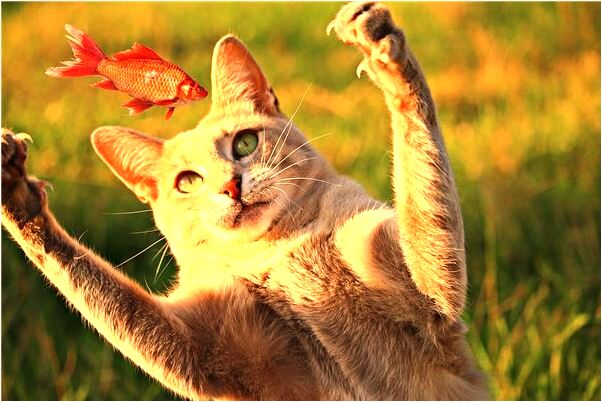 夢見死人發紅包給小孩預示了什麼_周公解夢官網