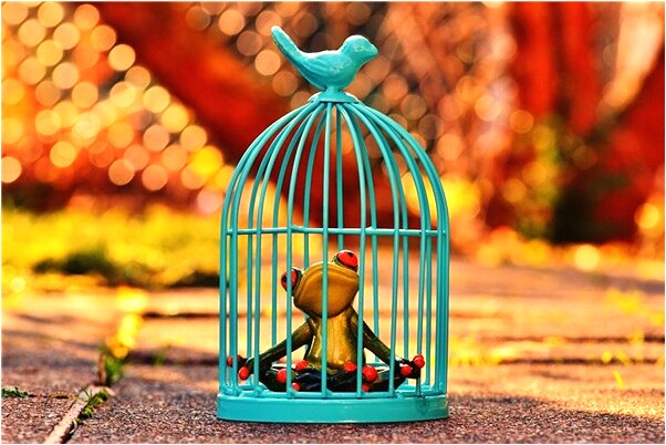 夢見遇見校友怎么樣_周公解夢官網