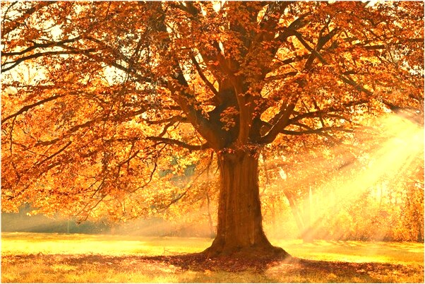 夢到坐新房子有什麼寓意嗎？_周公解夢官網