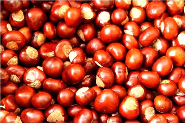 夢到了棺材下葬丟錢意味著什麼_周公解夢官網