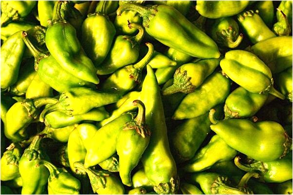 夢見給死人招魂有什麼含義_周公解夢官網