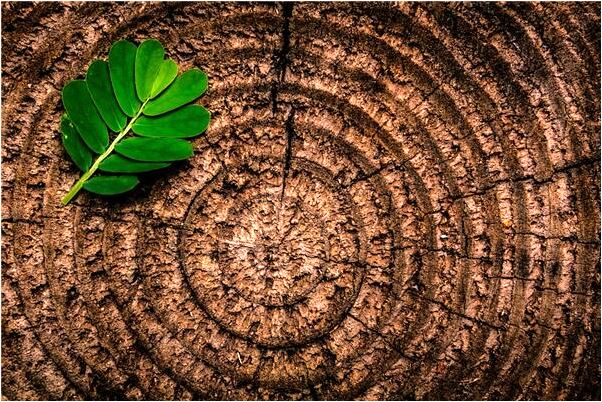 夢到逃過敵人追捕是凶兆還是吉兆_周公解夢官網