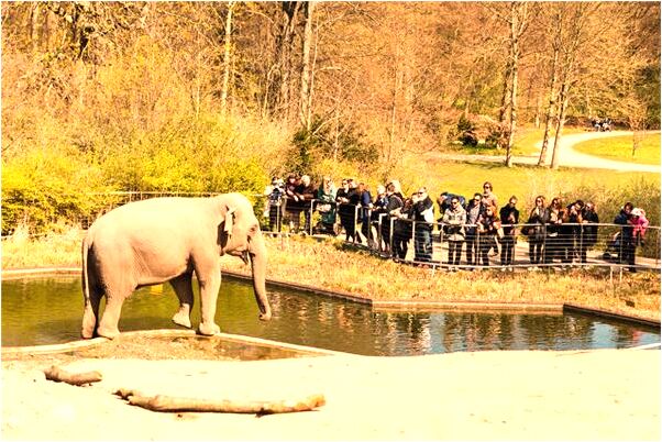 夢到了舊色情片會是什麼預兆_周公解夢官網