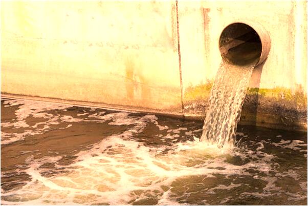 夢見和女鬼黑狗打鬥預示什麼_周公解夢官網