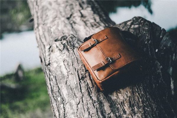 夢見丟包了_周公解夢