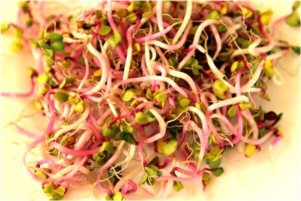 夢到了自己從很高的地方掉下有什麼意義嗎_周公解夢官網