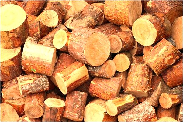 夢見老太太給我驅魔是好是壞_周公解夢官網