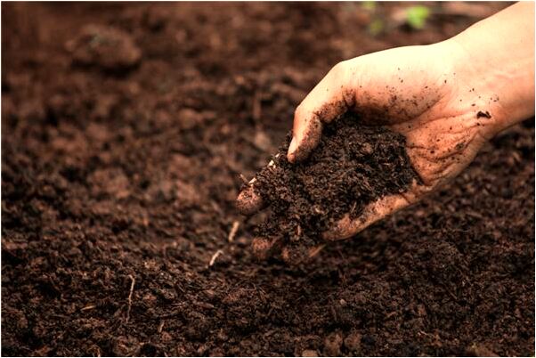 夢到給錢過世的親人代表什麼_周公解夢官網