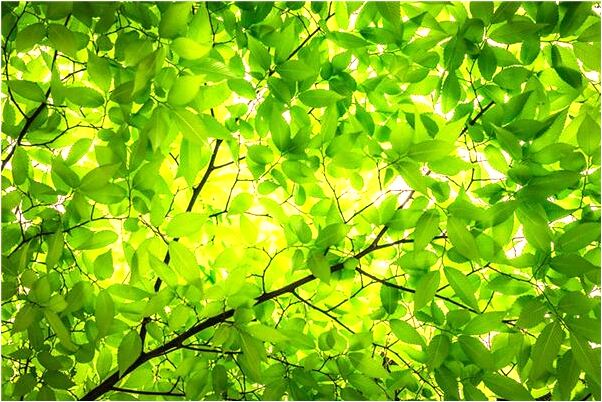 夢到了我老公的媽讓我買白鞋有什麼意義嗎_周公解夢官網