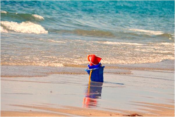 夢見摘指甲花是不是好的徵兆呢_周公解夢官網