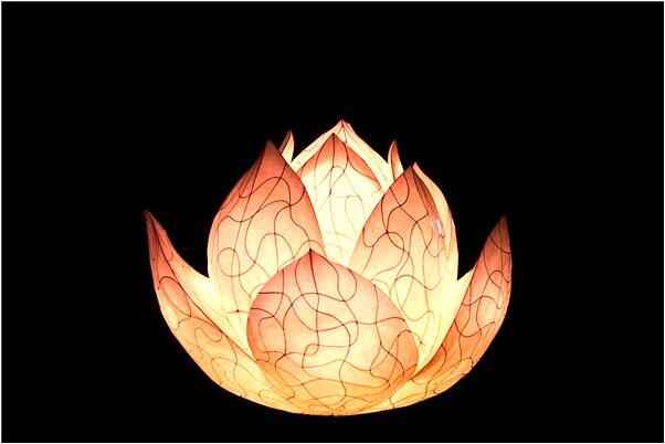 夢見狗追著蛇跑是什麼意思？_周公解夢官網