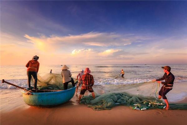 夢見逮魚是什麼意思_周公解夢
