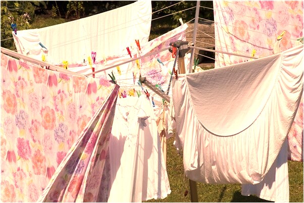 夢到打包行囊是啥預兆_周公解夢官網