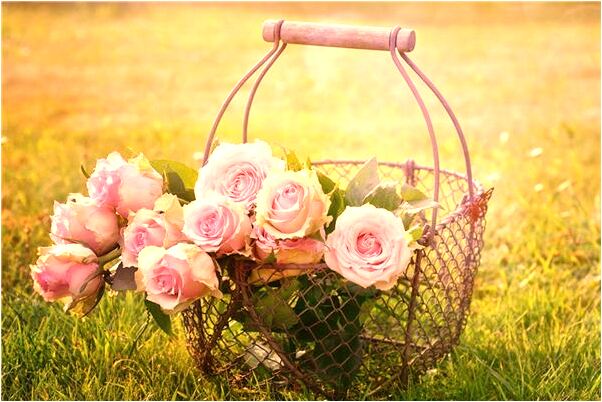 夢見熟人拿走了情人的紫色內褲意味著什麼_周公解夢官網