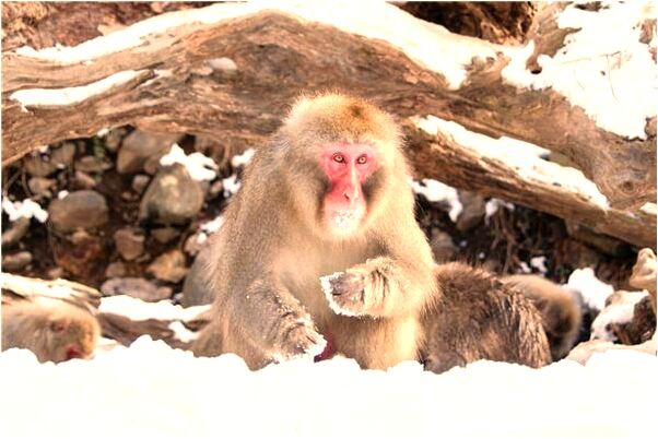 夢見去拿東西沒坐上火車有什麼預示嗎_周公解夢官網