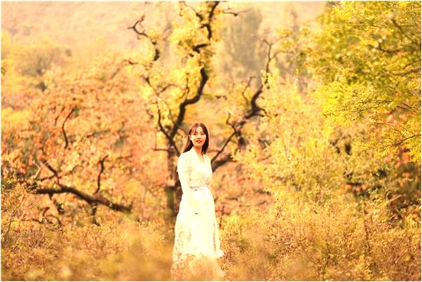 夢到了踩死幾隻老鼠的預兆_周公解夢官網