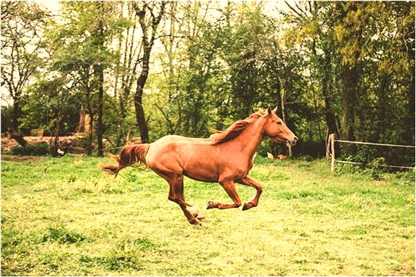 夢見老公腳臭是啥預兆_周公解夢官網