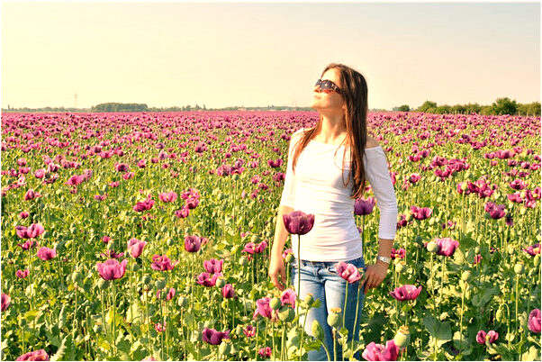 夢到因被狗追咬而打死狗是什麼意思_周公解夢官網