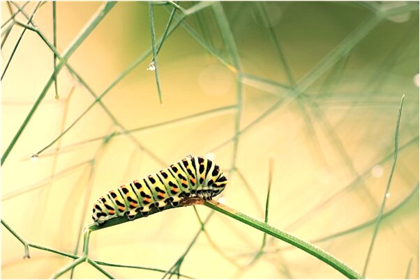 夢到了自己考博士是什麼預兆？_周公解夢官網