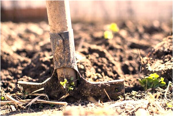 夢到羽毛球雙打總輸的預兆_周公解夢官網