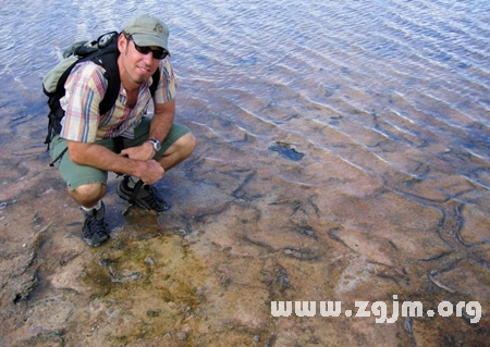 12星座之雙魚座旅商_十二星座