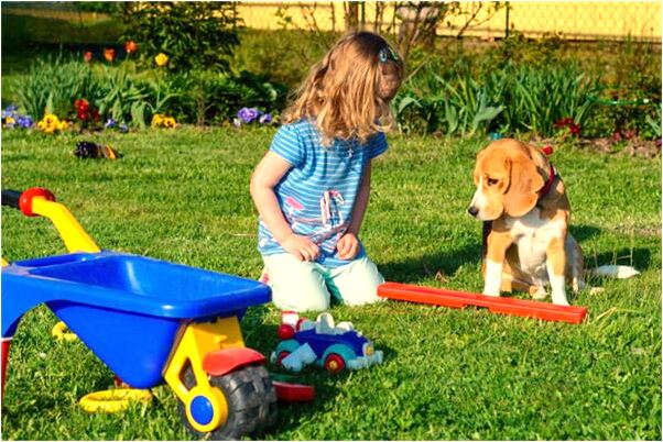 夢到了吃小雞是凶兆還是吉兆_周公解夢官網