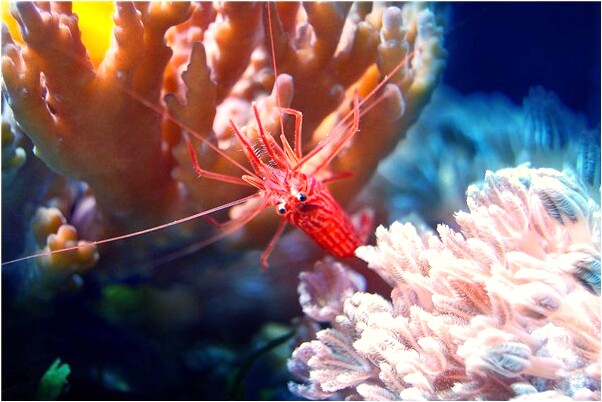 夢到了自己的天靈蓋意味著什麼_周公解夢官網