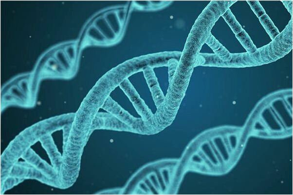 夢到了自己中毒死了又活了有什麼意思_周公解夢官網