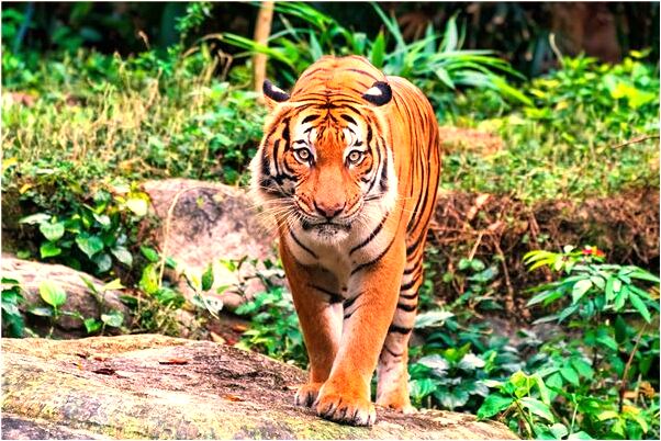 夢到了拒絕和不認識的人上床怎么回事_周公解夢官網