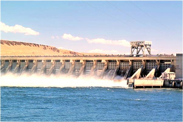 夢到了紅毛老鼠意味著什麼_周公解夢官網