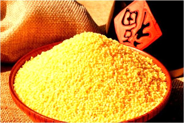 夢到了馴服惡狗是什麼意思？_周公解夢官網