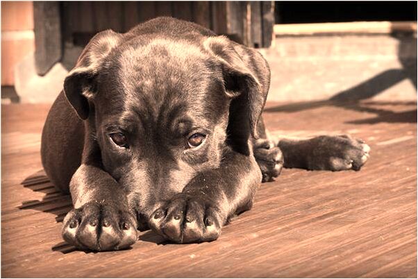 夢見一個女的摔死是咋回事_周公解夢官網