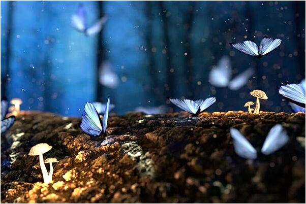 夢到了聖誕派對好不好_周公解夢官網