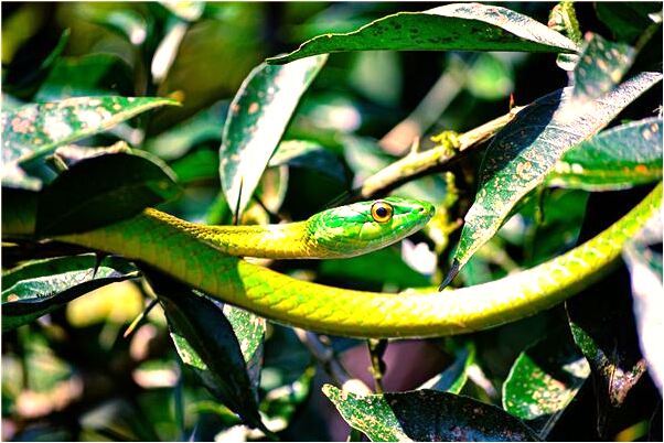 夢到沒人願意和我打麻將有何寓意_周公解夢官網