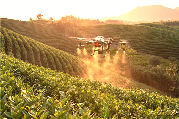 夢到了和匪徒火拚一人犧牲了是什麼徵兆_周公解夢官網