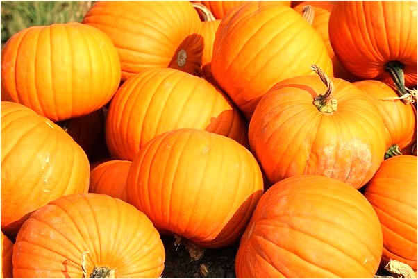 夢見自己打赤腳是什麼兆頭_周公解夢官網