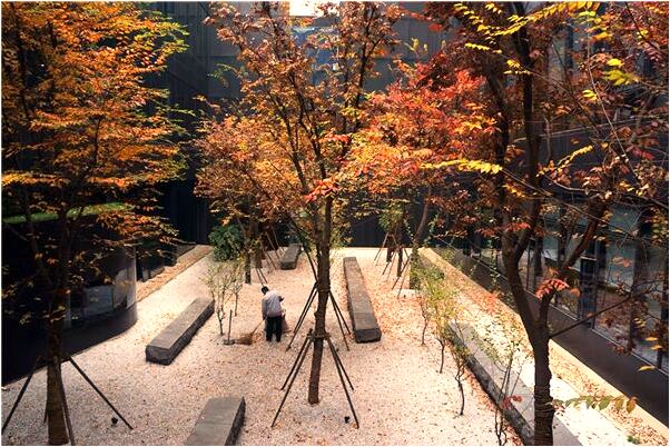 夢到了正拔園的西瓜代表著什麼？_周公解夢官網