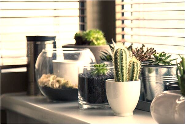 夢見偷書賣會是什麼預兆_周公解夢官網